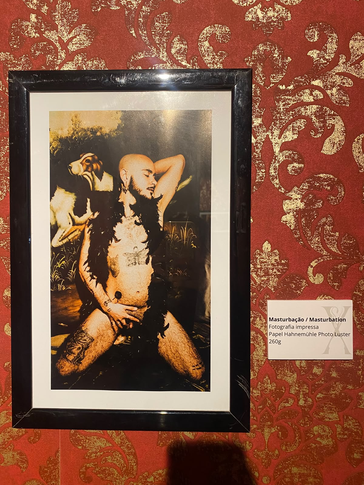 Framed photograph titled Masturbação / Masturbation on red damask wallpaper