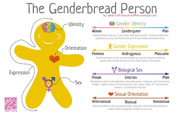 The Genderbread Person infographic