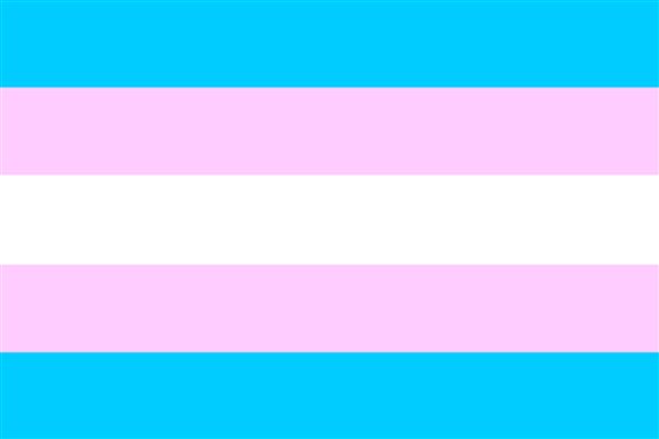 Trans Student Educational Resources preview