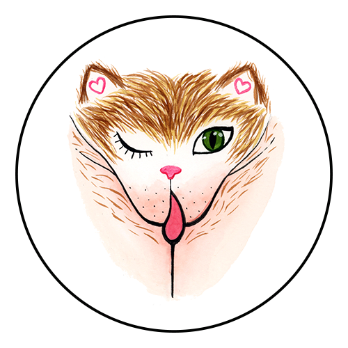 The Vulva Gallery preview